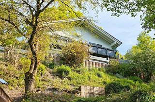 Haus kaufen in Schlehenbusch, 67824 Feilbingert, Ein Ort, an dem Träume aus Holz gebaut sind!Blockhausidylle mitten im Wald - Feilbingert-Lüssert