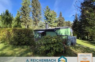 Haus kaufen in Dahlenberger Weg 2c, 06905 Bad Schmiedeberg, Wohnen wie im Urlaub! Waldgrundstück mit zwei Bungalows, Gästehaus in 06905 Moschwig zu verkaufen!