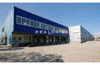 Gewerbeimmobilie mieten in 65462 Ginsheim-Gustavsburg, Lager- / Logistikflächen - 7,50 m UKB - 6x Rampe