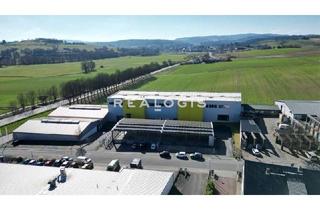 Gewerbeimmobilie mieten in 64354 Reinheim, Lager/ Produktion - Kranbahn - bis zu ca. 8,30 m UKB