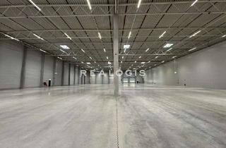 Gewerbeimmobilie mieten in 63303 Dreieich, Logistik/ Produktion - 8,50 m UKB - Anbindung an die A661