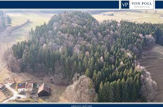 Immobilie kaufen in 93449 Waldmünchen, Lebensraum Wald: Fichte, Buche und Lärche in Generationen gewachsen