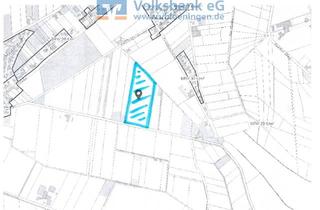 Immobilie kaufen in 49757 Werlte, Ackerfläche in Werlte zu verkaufen.