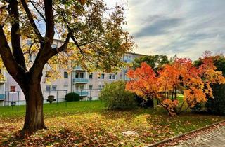 Wohnung mieten in Gutenbergstraße 47, 02943 Weißwasser, KLEIN aber FEIN *Tolle 2-Raumwohnung in ruhiger Lage*
