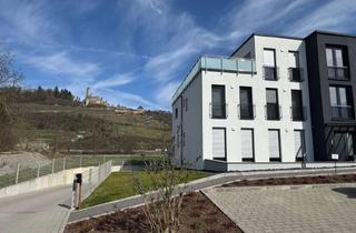 Wohnung mieten in 74855 Haßmersheim, Moderne 2 Zi-Dachgeschosswohnung mit Sonnenterrasse in Haßmersheim