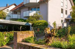 Wohnung mieten in 97816 Lohr, kleines, helles 1-Zimmer Apartment mit Terrasse