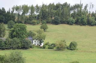Wohnung mieten in In Der Hege, 34508 Willingen, Viel Platz in Willingen: Helle 4-Zimmer-Wohnung im Dachgeschoss