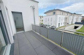 Wohnung mieten in 63512 Hainburg, Ihr neues Zuhause: 2-Zimmer-Wohnung im Erstbezug