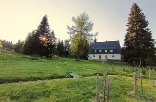 Haus kaufen in 08309 Eibenstock, Edel saniertes Wiesenhaus in absolut ruhiger waldreicher und sonniger Einzellage