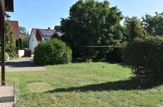 Einfamilienhaus kaufen in 04886 Großtreben, Einfamilienhaus mit tollem Grundstück in ländlicher Siedlungslage !!