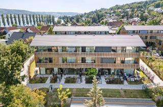 Haus mieten in Zum Schienerberg 23, 78337 Öhningen, Premium Penthouse mit Seesicht in Öhningen-Wangen