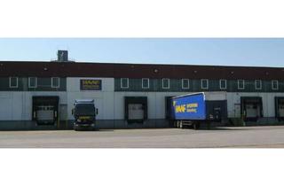 Gewerbeimmobilie mieten in Industriestraße, 31606 Warmsen, Kontraktlogistikfläche in Warmsen
