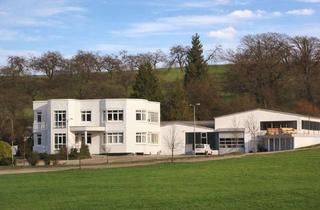 Gewerbeimmobilie kaufen in 71522 Backnang, Effizient arbeiten und produzieren – Ihre Gewerbelösung in Backnang