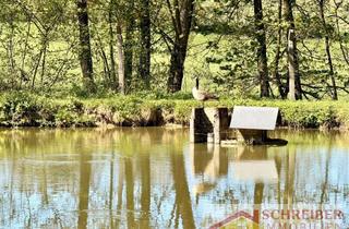 Grundstück zu kaufen in 35232 Dautphetal, Natur. Ruhe. Wasser. – Private Teichanlage in Alleinlage