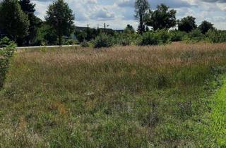 Grundstück zu kaufen in Beeskower Strasse 45, 15848 Friedland, Nahe Spree und Schwielochsee - wohnen wo andere Urlaub machen!