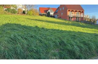 Grundstück zu kaufen in Salzweg 16, 89335 Ichenhausen, Abendsonne über dem Günztal