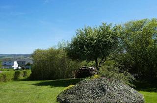 Grundstück zu kaufen in 08064 Oberplanitz, SONNIGES GROßES NATURPARADIES MIT UNVERBAUBAREM PANORAMABLICK!