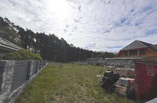 Grundstück zu kaufen in Jägersteig 15, 15864 Wendisch Rietz, Baugrundstück in schöner Waldrandlage