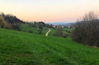Grundstück zu kaufen in 79299 Wittnau, Baugrundstück mit Panoramablick