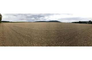 Gewerbeimmobilie kaufen in 31832 Springe, Ackerland in der Calenberger Börde – ca. 6,5 ha, Raum Springe (Region Hannover)