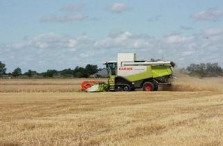 Gewerbeimmobilie mieten in 25924 Klanxbüll, Verpachtung von ca. 8,13 Hektar Landwirtschaftsfläche -Ackerland-