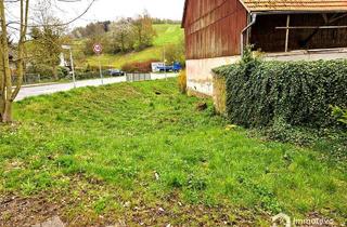 Gewerbeimmobilie mieten in 69483 Wald-Michelbach, Wiesenflächen & Stallungen zur Tierhaltung zu vermieten | flexibel & vielseitig nutzbar