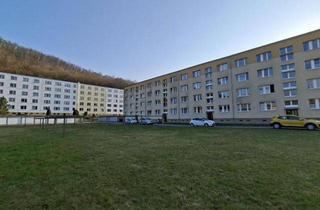 Haus kaufen in Walter-Suchaneck-Str. 23, 07985 Elsterberg, Solides Renditeobjekt im schönen Elsterberg