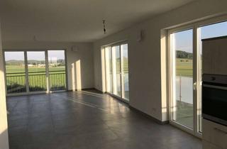 Wohnung mieten in Häldele 16, 78355 Hohenfels, Neuwertige 4 Zimmer Wohnung mit Balkon Garten und Garage