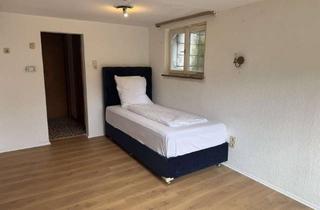 Wohnung mieten in Häldeleweg, 77784 Oberharmersbach, Zuhause mit 25 m² Wohnfläche in Oberharmersbach