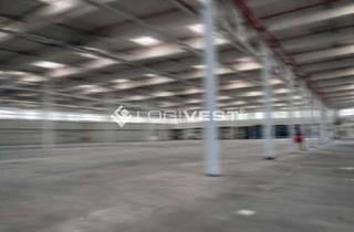 Gewerbeimmobilie mieten in 76473 Iffezheim, Prime Logistics Gateway – uneingeschränkter 24/7-Betrieb