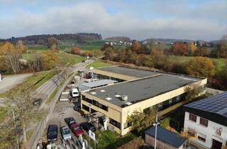 Büro zu mieten in Zeppelinstraße 16, 88427 Bad Schussenried, Lager-/Werkstatt-/Produktionsfläche mit Büromöglichkeiten ab 130m²-270m²