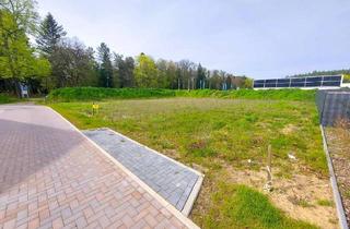 Grundstück zu kaufen in 17235 Neustrelitz, großzügiges Baugrundstück fußläufig vom Glambecker See entfernt