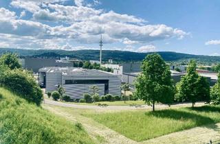Büro zu mieten in 73614 Schorndorf, ~ Büro, Praxis, Halle oder Produktion – flexibel nutzbare Flächen, einzeln oder komplett anmietbar ~