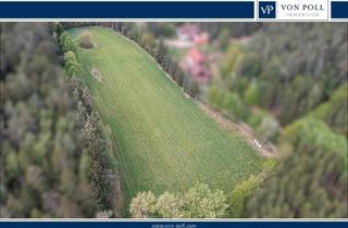 Grundstück zu kaufen in 93199 Zell, Zell - Landwirtschaftliche Nutzfläche mit Erweiterungspotenzial