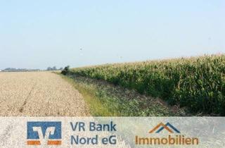 Immobilie mieten in 25924 Klanxbüll, Verpachtung von ca. 8,13 Hektar Landwirtschaftsfläche -Ackerland-