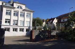 Lofts mieten in 72461 Albstadt, Albstadt - EXCLUSIVES LOFT SONN. TERASSE U. GARTEN HAUS IM HAUS