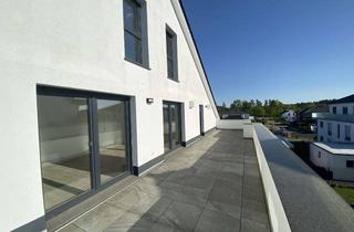 Penthouse kaufen in Ii Koppelweg 36, 38518 Gifhorn, Traum-Penthouse: ca. 115 m² Wohnfläche + ca. 35 m² Dachboden & große Dachterrasse