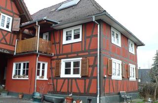 Wohnung mieten in 76467 Bietigheim, Gemütlich 2,5 Zimmer ohne Balkon/ohne Stellplatz