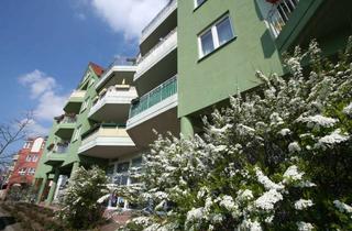 Wohnung mieten in Steinstraße 36, 39218 Schönebeck, Großzügige Etagenwohnung mit Wohlfühlgarantie in Elbnähe!
