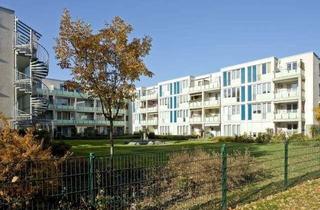 Wohnung mieten in Pergamentweg 34, 22117 Billstedt, Ab 65 Jahren! Schöne 2-Zimmer Seniorenwohnung in Hamburg Öjendorf