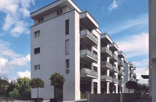 Wohnung mieten in Möttelistraße, 88045 Friedrichshafen, Hochwertige 4,5-Zimmer-Neubauwohnung mit großer Dachterrasse in FN-Stadtmitte