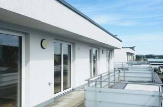Wohnung mieten in Möttelistraße, 88045 Friedrichshafen, Hochwertige 4,5-Zimmer-Wohnung mit großer Dachterrasse in FN-Stadtmitte