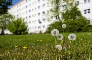 Wohnung mieten in Zur Saaleaue 81, 06122 Nördliche Neustadt, Wohnen auf 2 Etagen - Ab September 2026