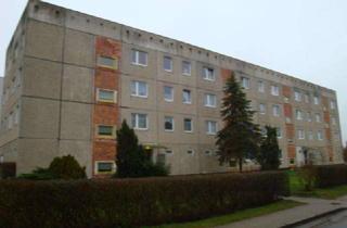 Wohnung mieten in Hoeveter Weg 15b, 18469 Velgast, freundliche 2- Raumwohnung mit Balkon in Velgast ab 01.07.26 frei!