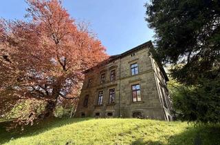 Mehrfamilienhaus kaufen in 42857 Remscheid, Denkmalgeschütztes Mehrfamilienhaus - 4 Wohnungen – eine Hommage an die Baukunst vergangener Zeiten