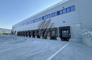 Büro zu mieten in 07937 Zeulenroda-Triebes, KEINE PROVISION ✓ NEUBAU ✓ 24/7 ✓ Lager-/Logistik (7.000 m²) & Büro (250 m²)