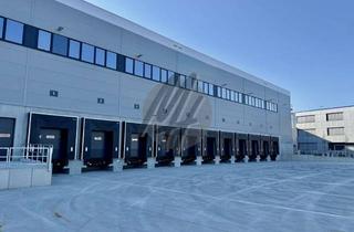 Büro zu mieten in 07952 Pausa, KEINE PROVISION ✓ NEUBAU ✓ 24/7 ✓ Lager-/Logistik (7.000 m²) & Büro (250 m²)