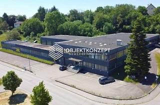 Gewerbeimmobilie mieten in 72477 Schwenningen, Moderne Gewerbeimmobilie mit freier Hallenfläche - ab ca. 125 m² teilbar - verfügbar ab sofort