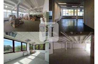 Büro zu mieten in 22453 Groß Borstel, ca. 100 m² bis ca. 1.000 m² vielseitig nutzbare Lager-/Fertigungsflächen, teilweise mit Büroflächen