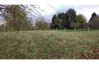 Grundstück zu kaufen in 07619 Schkölen, 3.200 m² Grundstück mit Bauvorbescheid – Außenbereich Schkölen mit Aussicht